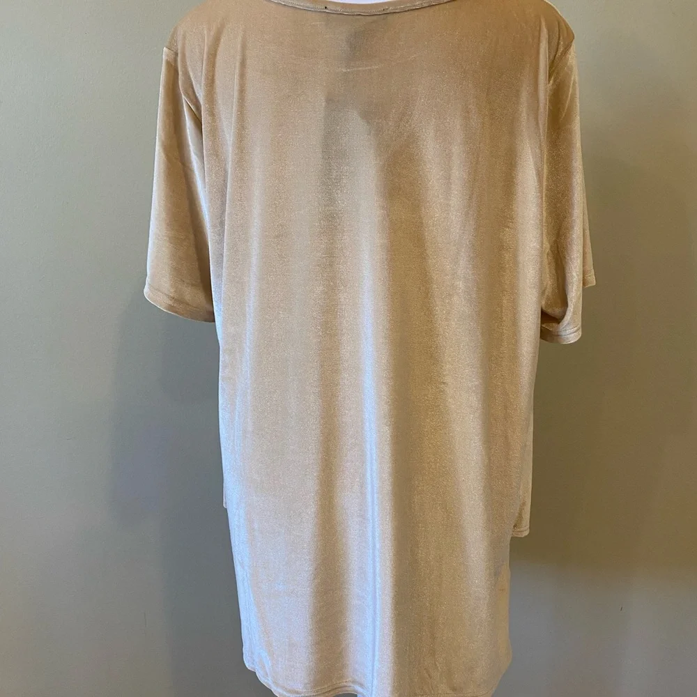 DG2 By Diane Gilman Velvet Blouse Size XL - Picture 7 of 7